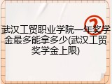 武汉工贸职业学院一年奖学金最多能拿多少(武汉工贸奖学金上限)