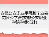 安徽公安职业学院到毕业要花多少学费(安徽公安职业学院学费总计)