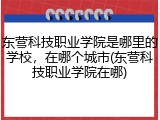 东营科技职业学院是哪里的学校，在哪个城市(东营科技职业学院在哪)