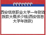 西安信息职业大学一年财政拨款大概多少钱(西安信息大学年拨款)