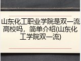 山东化工职业学院是双一流高校吗，简单介绍(山东化工学院双一流)