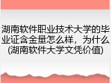 湖南软件职业技术大学的毕业证含金量怎么样，为什么(湖南软件大学文凭价值)