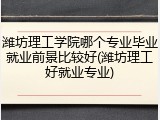潍坊理工学院哪个专业毕业就业前景比较好(潍坊理工好就业专业)
