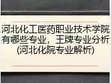 河北化工医药职业技术学院有哪些专业，王牌专业分析(河北化院专业解析)