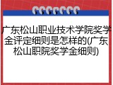 广东松山职业技术学院奖学金评定细则是怎样的(广东松山职院奖学金细则)