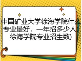 中国矿业大学徐海学院什么专业最好，一年招多少人(徐海学院专业招生数)
