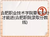 合肥职业技术学院要多少分才能进(合肥职院录取分数线)