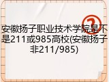 安徽扬子职业技术学院是不是211或985高校(安徽扬子非211/985)