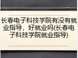 长春电子科技学院有没有就业指导，好就业吗(长春电子科技学院就业指导)