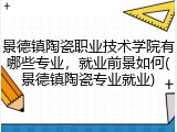 景德镇陶瓷职业技术学院有哪些专业，就业前景如何(景德镇陶瓷专业就业)