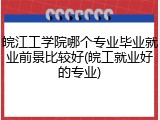 皖江工学院哪个专业毕业就业前景比较好(皖工就业好的专业)