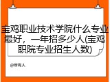 宝鸡职业技术学院什么专业最好，一年招多少人(宝鸡职院专业招生人数)