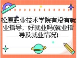 松原职业技术学院有没有就业指导，好就业吗(就业指导及就业情况)