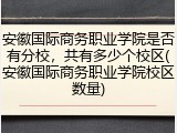 安徽国际商务职业学院是否有分校，共有多少个校区(安徽国际商务职业学院校区数量)