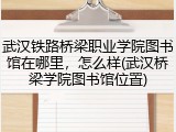 武汉铁路桥梁职业学院图书馆在哪里，怎么样(武汉桥梁学院图书馆位置)