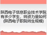 陕西电子信息职业技术学院有多少学生，师资力量如何(陕西电子职院师生规模)