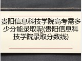 贵阳信息科技学院高考需多少分能录取呢(贵阳信息科技学院录取分数线)