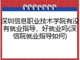 深圳信息职业技术学院有没有就业指导，好就业吗(深信院就业指导如何)