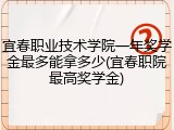 宜春职业技术学院一年奖学金最多能拿多少(宜春职院最高奖学金)