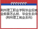 荆州理工职业学院毕业后就业前景怎么样，毕业生去向(荆州理工就业去向)