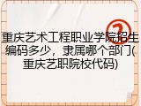 重庆艺术工程职业学院招生编码多少，隶属哪个部门(重庆艺职院校代码)