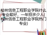 桂林信息工程职业学院什么专业最好，一年招多少人(桂林信息工程职业学院热门专业)