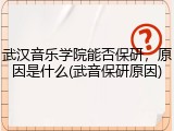 武汉音乐学院能否保研，原因是什么(武音保研原因)