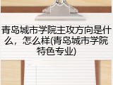青岛城市学院主攻方向是什么，怎么样(青岛城市学院特色专业)