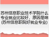 苏州信息职业技术学院什么专业就业比较好，原因是啥(苏州信息职院好就业专业)