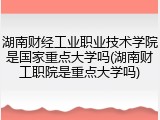 湖南财经工业职业技术学院是国家重点大学吗(湖南财工职院是重点大学吗)