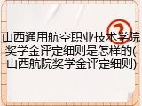 山西通用航空职业技术学院奖学金评定细则是怎样的(山西航院奖学金评定细则)