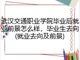 武汉交通职业学院毕业后就业前景怎么样，毕业生去向(就业去向及前景)