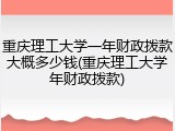 重庆理工大学一年财政拨款大概多少钱(重庆理工大学年财政拨款)
