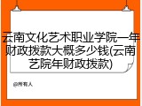 云南文化艺术职业学院一年财政拨款大概多少钱(云南艺院年财政拨款)
