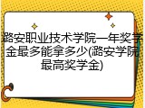 潞安职业技术学院一年奖学金最多能拿多少(潞安学院最高奖学金)