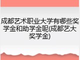 成都艺术职业大学有哪些奖学金和助学金呢(成都艺大奖学金)