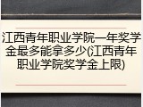 江西青年职业学院一年奖学金最多能拿多少(江西青年职业学院奖学金上限)