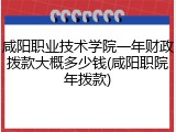咸阳职业技术学院一年财政拨款大概多少钱(咸阳职院年拨款)