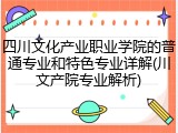 四川文化产业职业学院的普通专业和特色专业详解(川文产院专业解析)