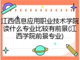 江西信息应用职业技术学院读什么专业比较有前景(江西学院前景专业)