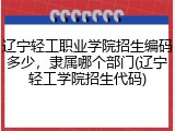辽宁轻工职业学院招生编码多少，隶属哪个部门(辽宁轻工学院招生代码)
