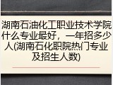 湖南石油化工职业技术学院什么专业最好，一年招多少人(湖南石化职院热门专业及招生人数)