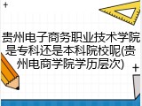 贵州电子商务职业技术学院是专科还是本科院校呢(贵州电商学院学历层次)
