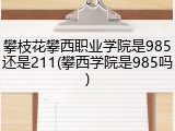 攀枝花攀西职业学院是985还是211(攀西学院是985吗)