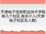 天津电子信息职业技术学院有几个校区,有多少人(天津电子校区及人数)