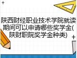 陕西财经职业技术学院就读期间可以申请哪些奖学金(陕财职院奖学金种类)