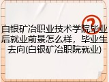 白银矿冶职业技术学院毕业后就业前景怎么样，毕业生去向(白银矿冶职院就业)