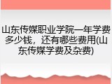 山东传媒职业学院一年学费多少钱，还有哪些费用(山东传媒学费及杂费)