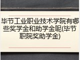 毕节工业职业技术学院有哪些奖学金和助学金呢(毕节职院奖助学金)