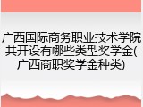 广西国际商务职业技术学院共开设有哪些类型奖学金(广西商职奖学金种类)